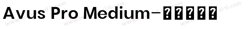 Avus Pro Medium字体转换